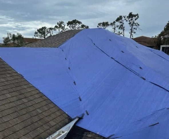 blue roof tarp