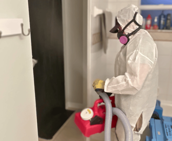 mold disinfection